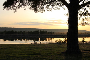 Image-preview_300x200