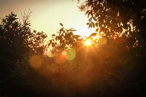 Image-preview_300x200