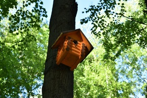 Image-preview_300x200