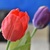 Image-square_50