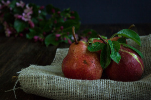 Image-preview_300x200