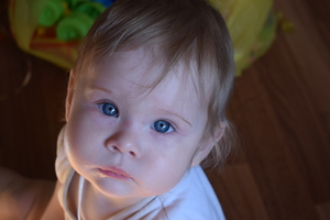 Image-preview_300x200