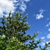 Image-square_50