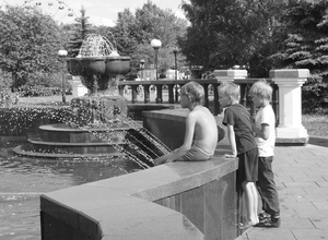 Image-preview_300x200