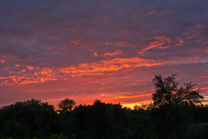 Image-preview_300x200