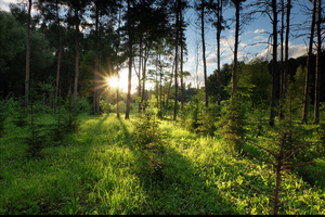 Image-preview_300x200