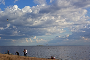 Image-preview_300x200