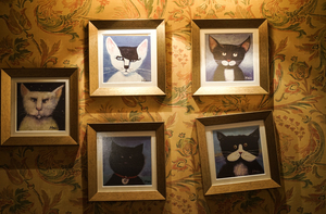 Image-preview_300x200