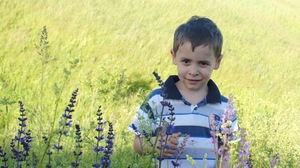 Image-preview_300x200