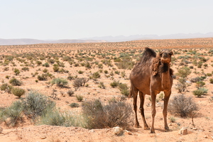 Image-preview_300x200