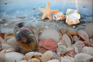 Image-preview_300x200