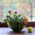 Image-square_50