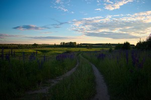 Image-preview_300x200