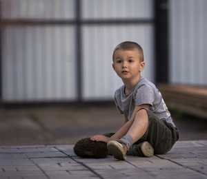 Image-preview_300x200