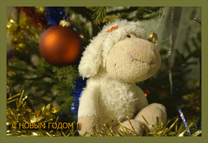 Image-preview_300x200