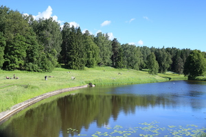 Image-preview_300x200