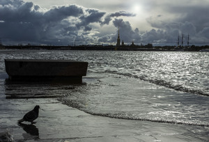 Image-preview_300x200