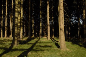 Image-preview_300x200