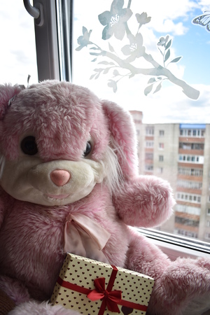 Image-preview_300x200