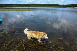 Image-preview_300x200