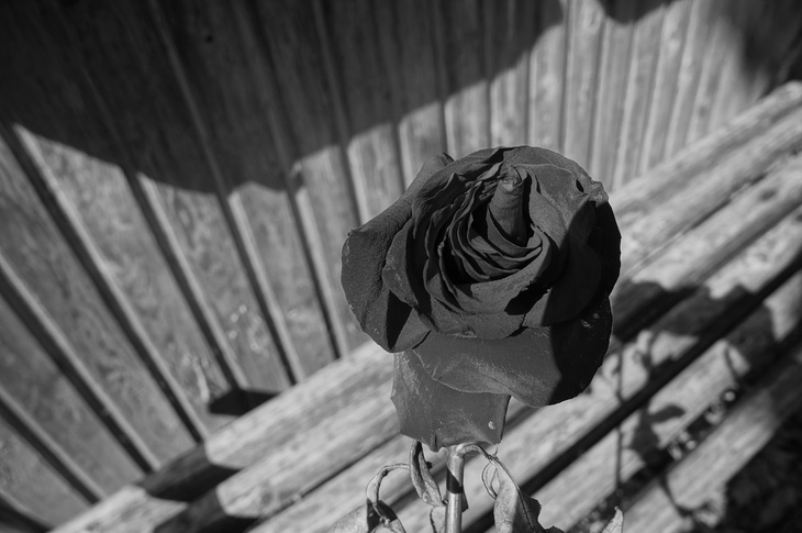 Image-normal