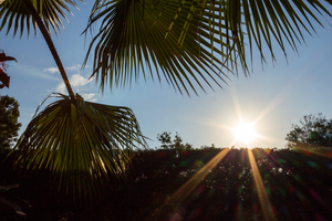 Image-preview_300x200