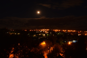 Image-preview_300x200