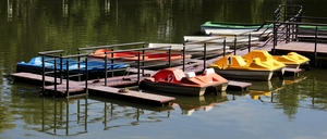 Image-preview_300x200