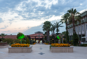 Image-preview_300x200