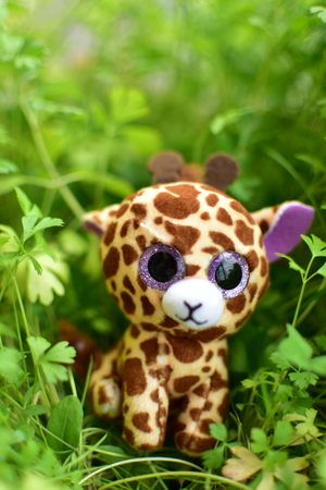 Image-preview_300x200