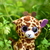 Image-square_50