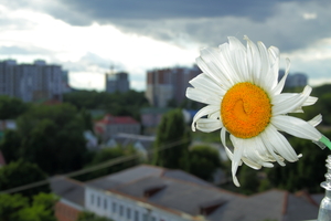 Image-preview_300x200