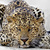 Image-square_50