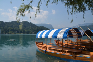 Image-preview_300x200