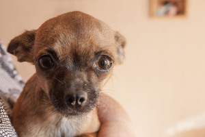 Image-preview_300x200