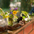 Image-square_50