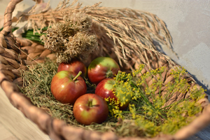 Image-preview_300x200