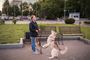 Image-preview_300x200