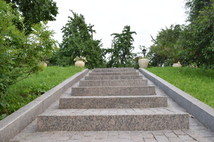 Image-preview_300x200