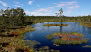 Image-preview_300x200