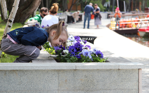 Image-preview_300x200