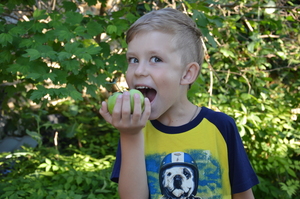 Image-preview_300x200