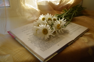 Image-preview_300x200