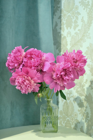 Image-preview_300x200