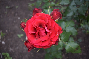 Image-preview_300x200