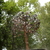 Image-square_50