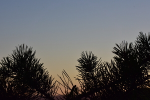 Image-preview_300x200