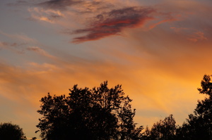 Image-preview_300x200