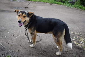 Image-preview_300x200