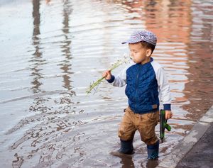 Image-preview_300x200